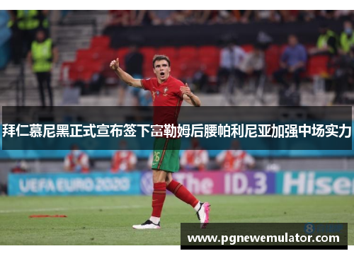 拜仁慕尼黑正式宣布签下富勒姆后腰帕利尼亚加强中场实力 拜仁慕尼黑正式宣布签下富勒姆后腰帕利尼亚加强中场实力