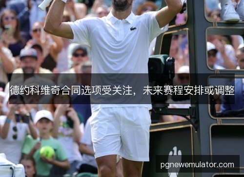 德约科维奇合同选项受关注，未来赛程安排或调整